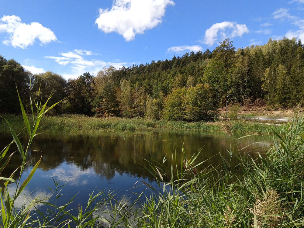 img_20240927_124818_660