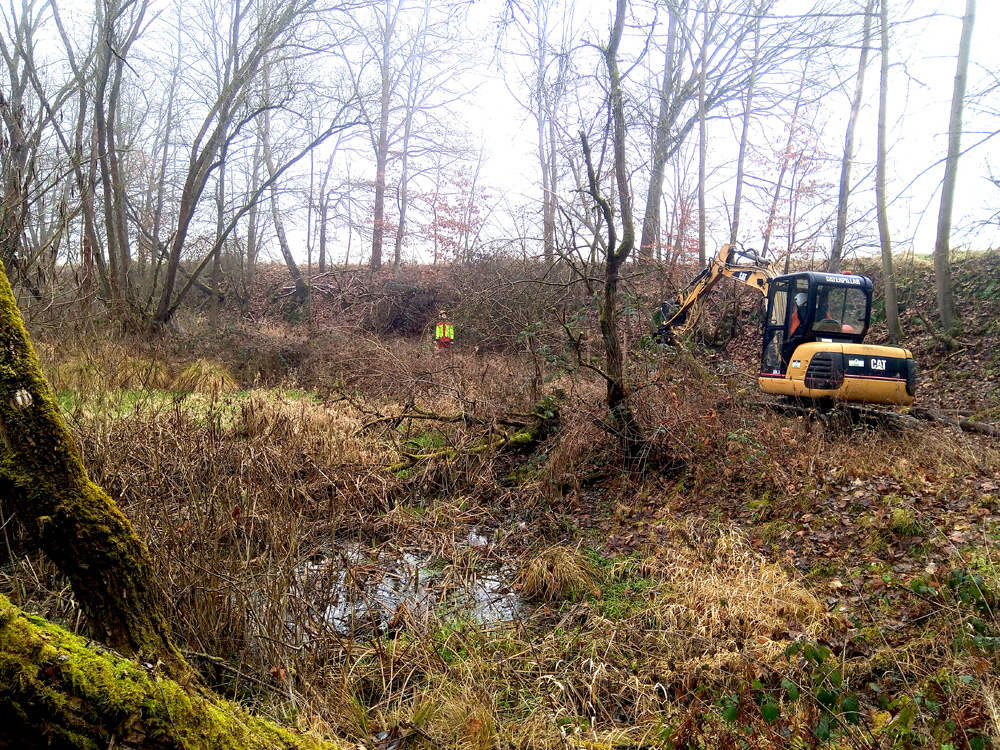 img_20251222_121227_202