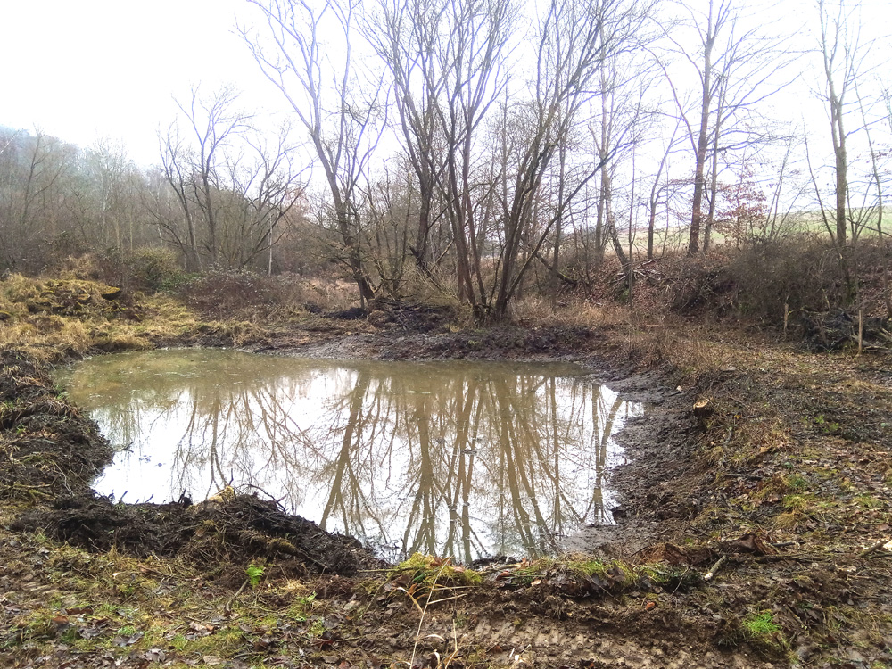 img_20251223_120225_180