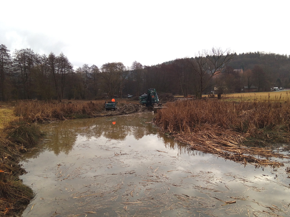 img_20260224_091739_567