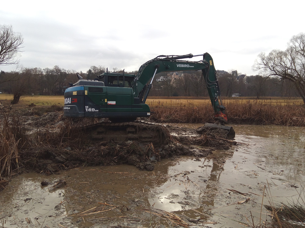 img_20260224_093646_292